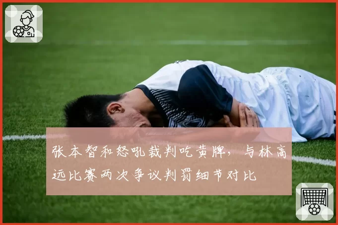 张本智和怒吼裁判吃黄牌，与林高远比赛两次争议判罚细节对比