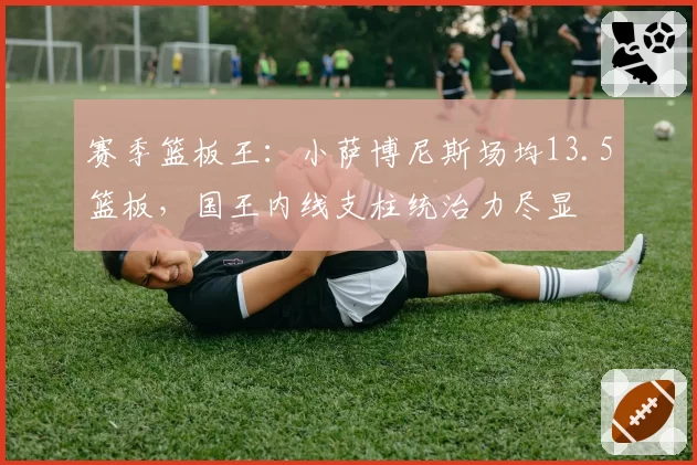 赛季篮板王：小萨博尼斯场均13.5篮板，国王内线支柱统治力尽显