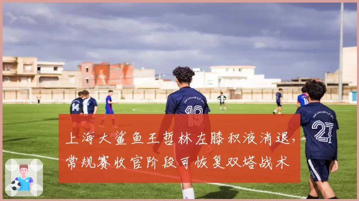 上海大鲨鱼王哲林左膝积液消退，常规赛收官阶段可恢复双塔战术