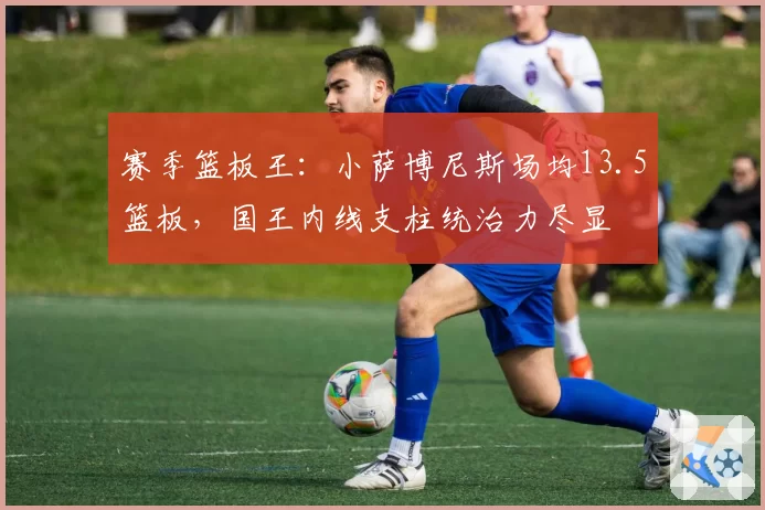赛季篮板王：小萨博尼斯场均13.5篮板，国王内线支柱统治力尽显