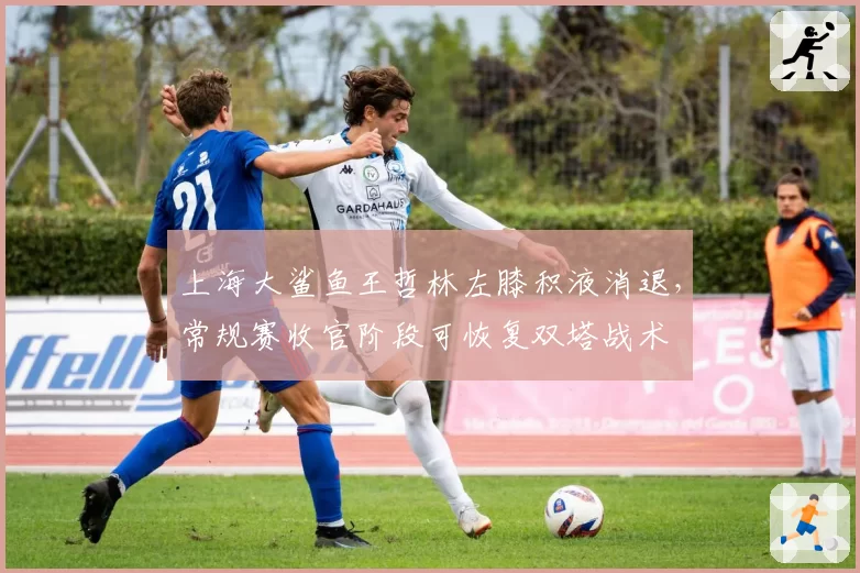 上海大鲨鱼王哲林左膝积液消退，常规赛收官阶段可恢复双塔战术